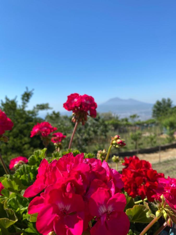 Palipano House Villa Pimonte Buitenkant foto